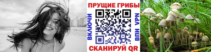 Купить где  Белогорск  Галлюциногенные грибы Magic Shrooms 