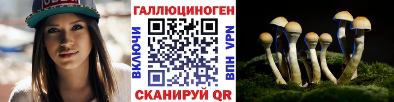 Галлюциногенные грибы GOLDEN TEACHER Белогорск